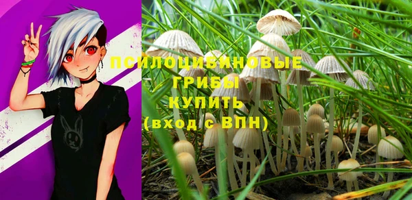 метадон Баксан