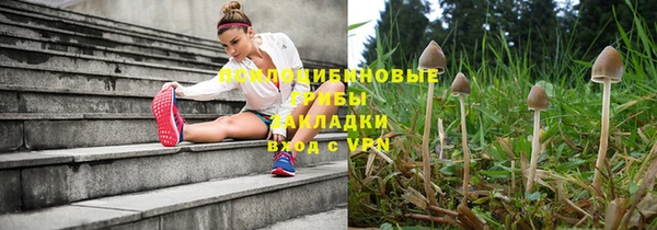 круглые Арсеньев