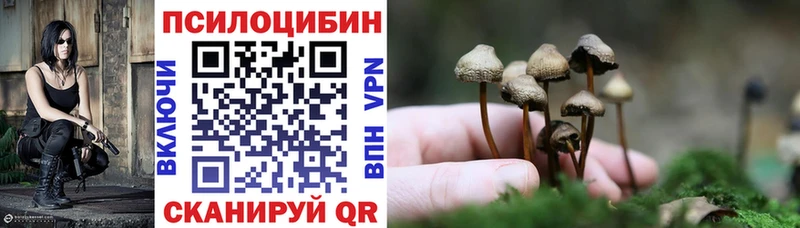 Псилоцибиновые грибы Magic Shrooms  наркотики  Пласт 